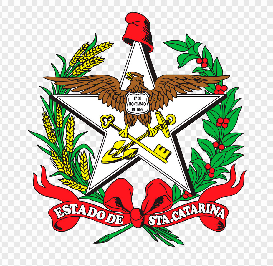 2017 - Secretaria de Estado da Saúde - Processo Seletivo Edital 038/SES/2017